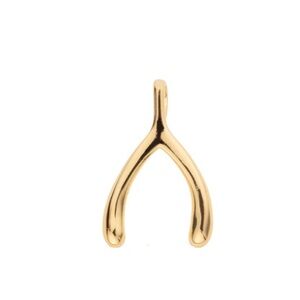 Jane Win Lucky Gold Mini Wishbone 10k pendant